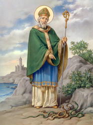 3673 Saint Patrick